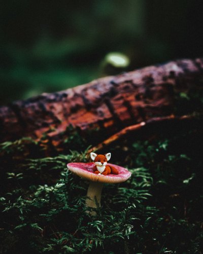 TR-128224_TIMOREUNANEN_2024-07-24-181854_128224-Enhanced-NR-Edit-