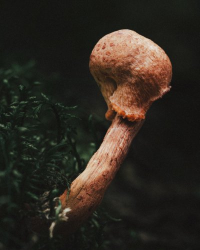 TR-128987_TIMOREUNANEN_2024-08-05-193555_128987-Enhanced-NR-