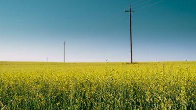 TR-44469_3848_TIMOREUNANEN_2020-06-27-055902_0.0_44469