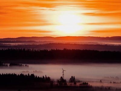 TR-45579_5013_TIMOREUNANEN_2020-08-08-051848_+1.3_45579