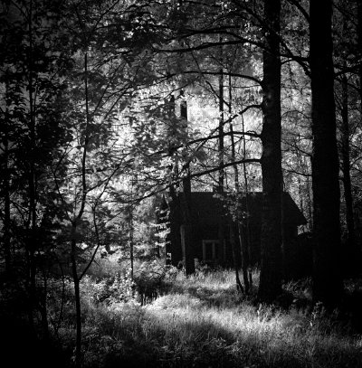 TR-26699__TIMOREUNANEN_2019-07-07-055744__26699-positive